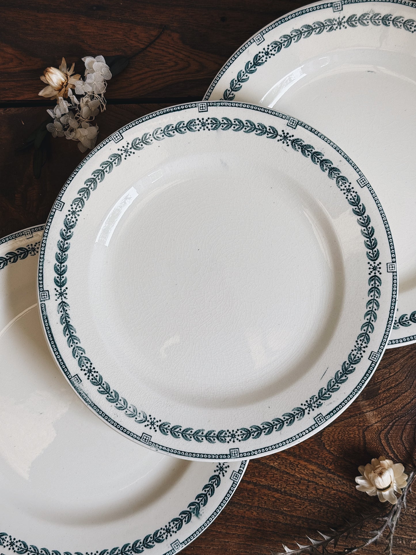 Assiettes plates terre de fer "Condé" — Victorine