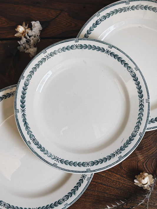Assiettes plates terre de fer "Condé" — Victorine